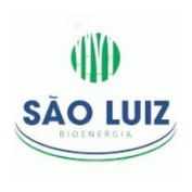 São Luiz logo